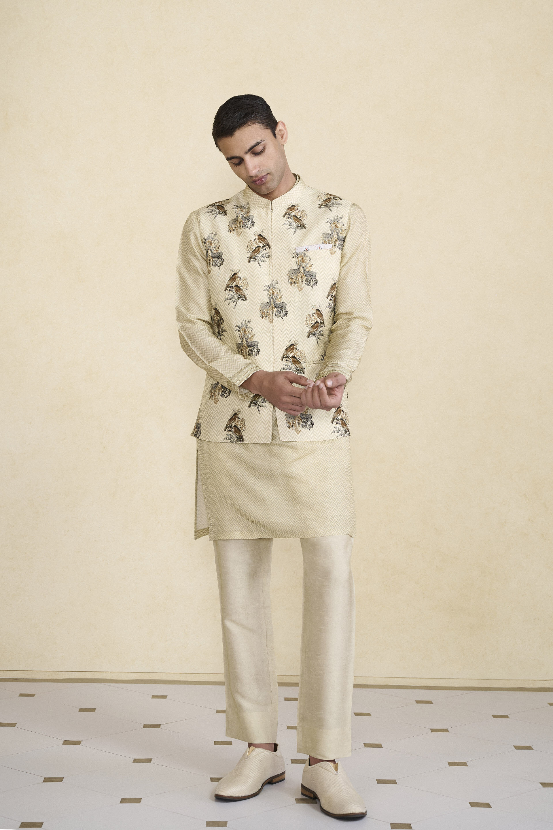 Krushan Printed Silk Nehru Jacket - Beige, Beige, image 1