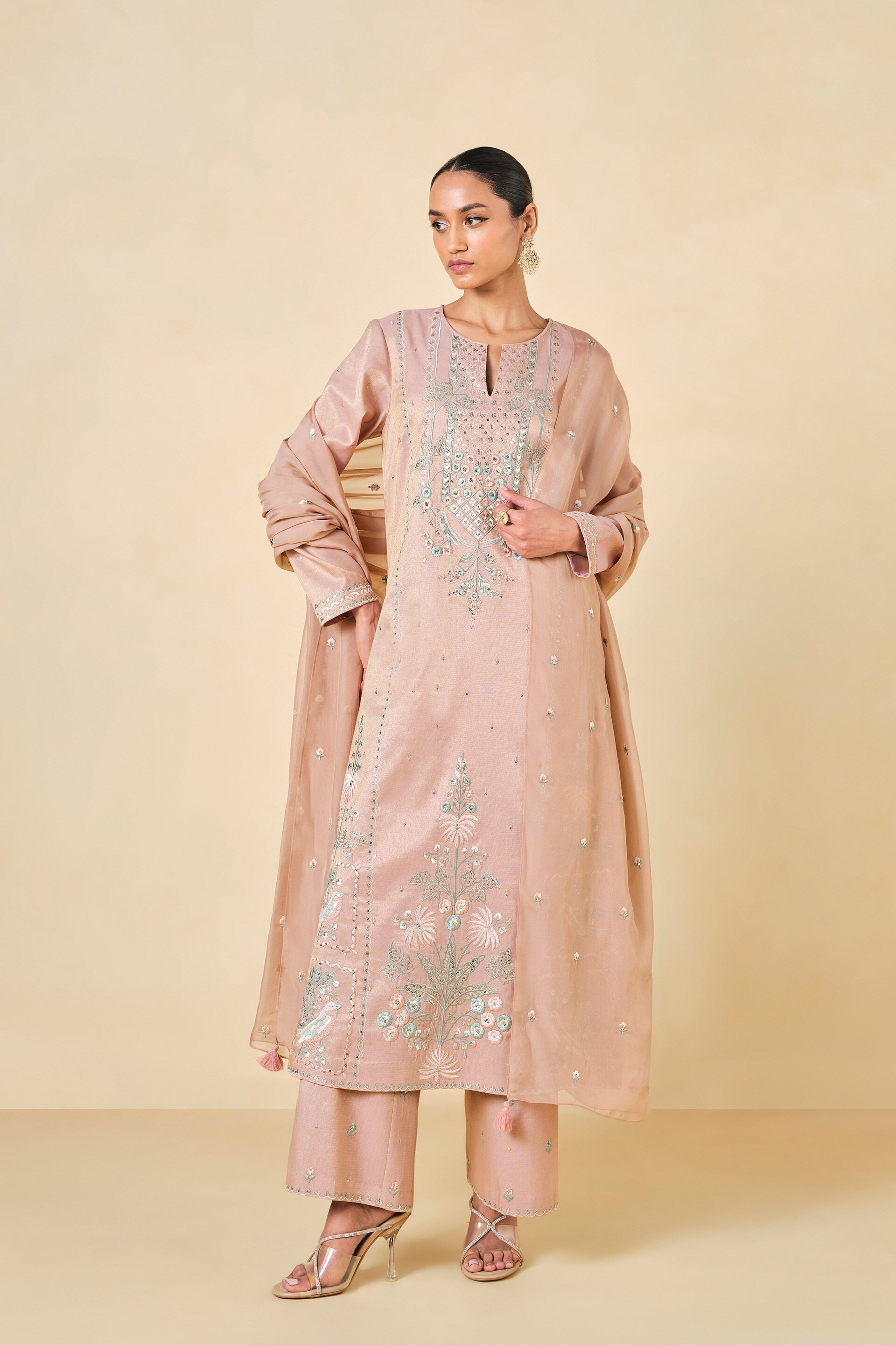 Ambudhi Embroidered Suit Set - Blush