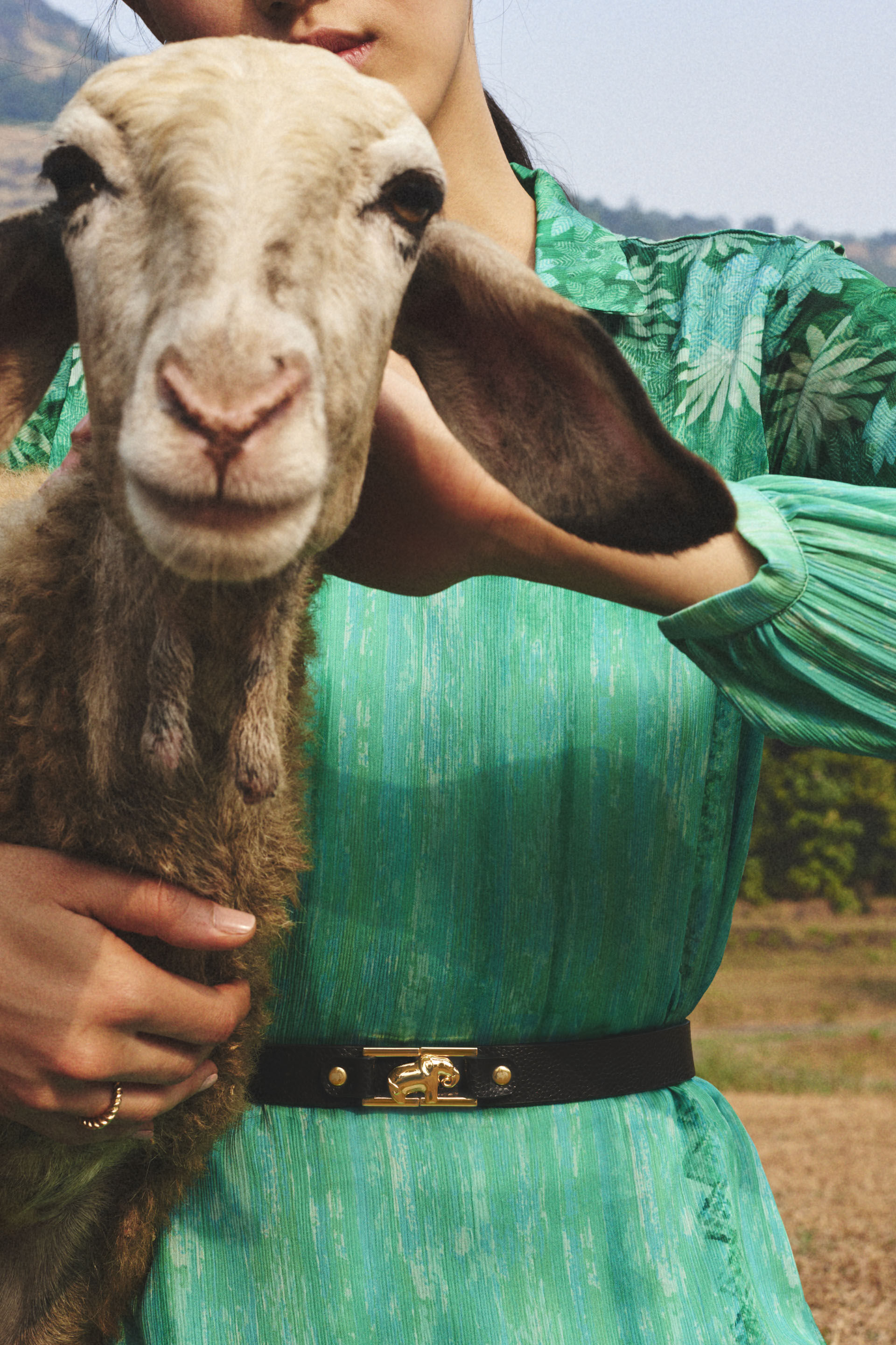 The Haathi Belt - Nocturnal Black