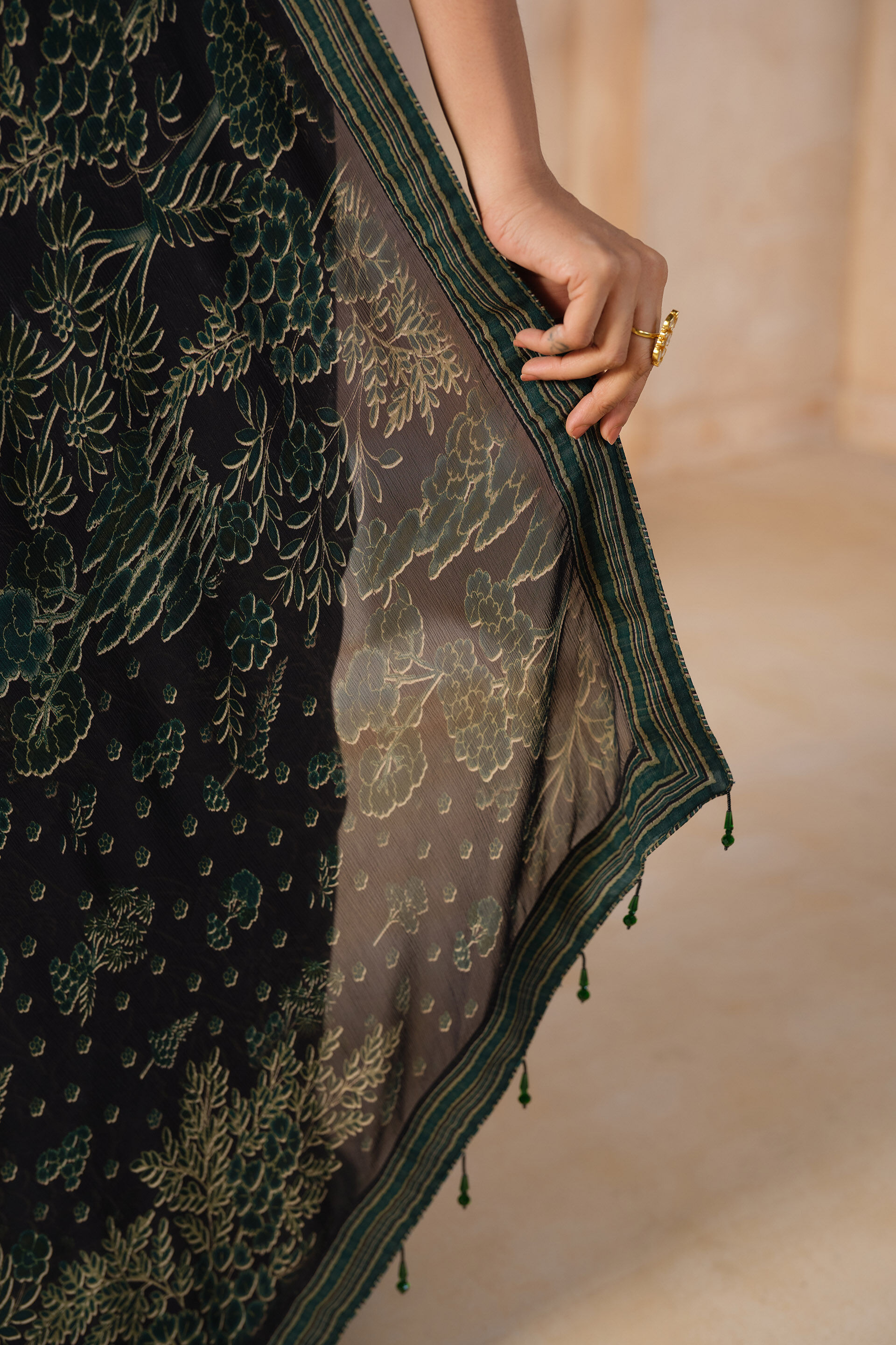 Tanairi Chiffon Saree - Black, Black, image 5