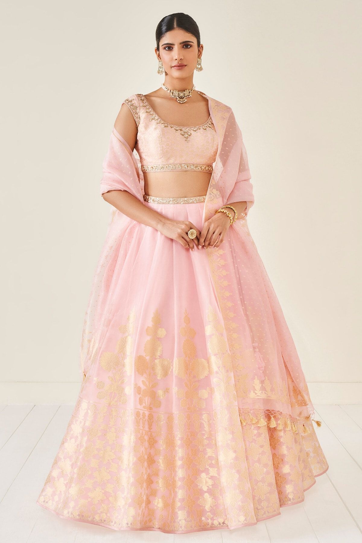 Amari Lehenga Set -Blush