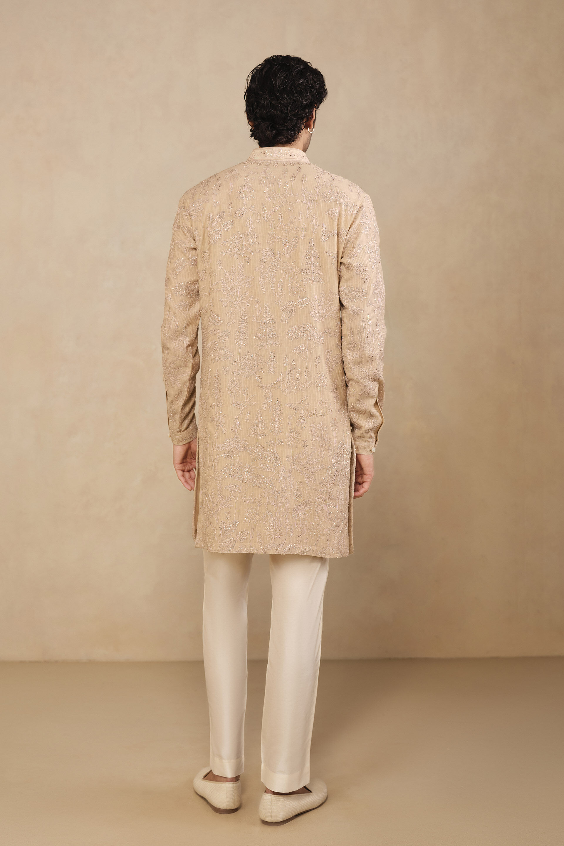 Adyant Embroidered Kurta - Salmon