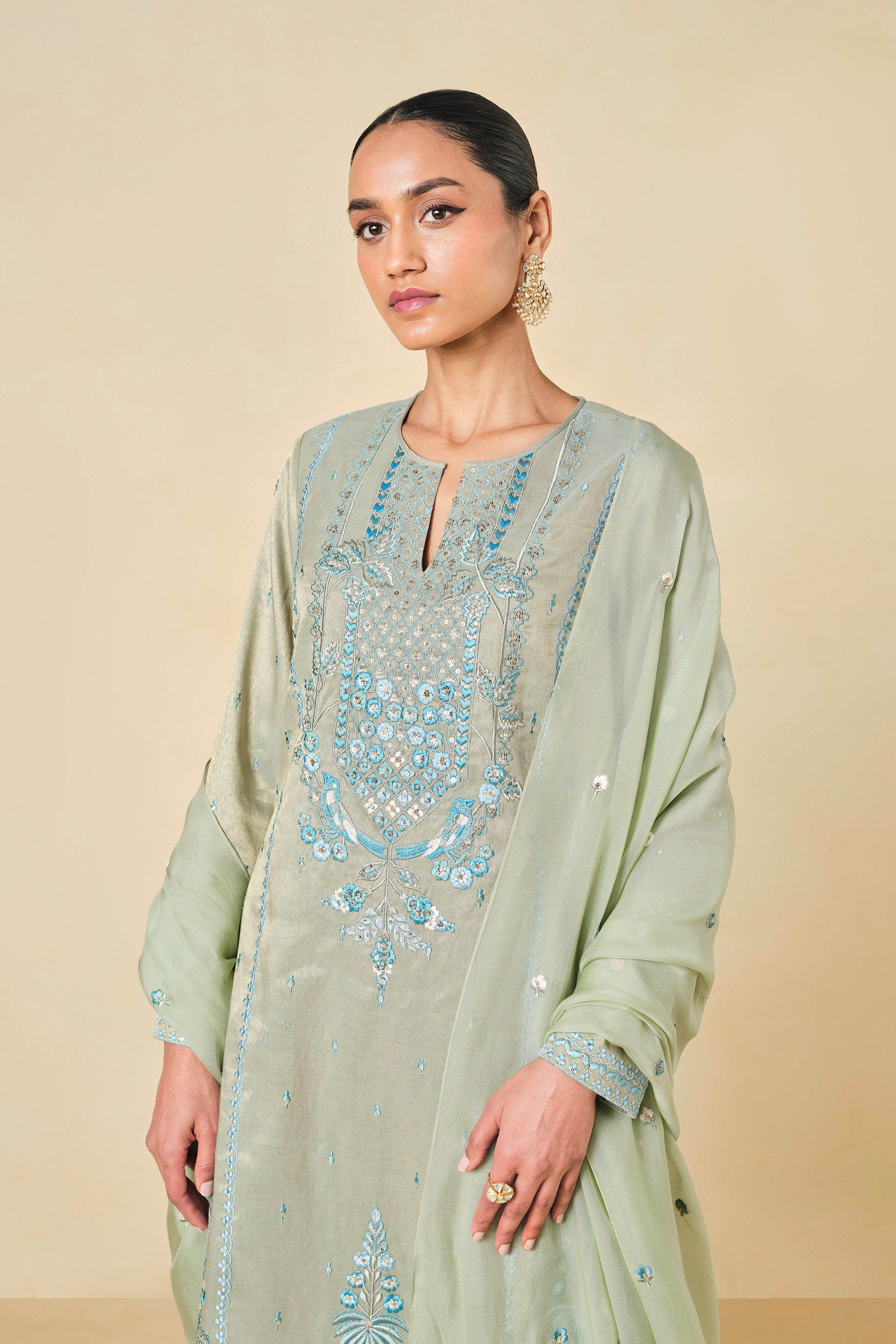 Ambudhi Embroidered Suit Set - Sage, Sage, image 4