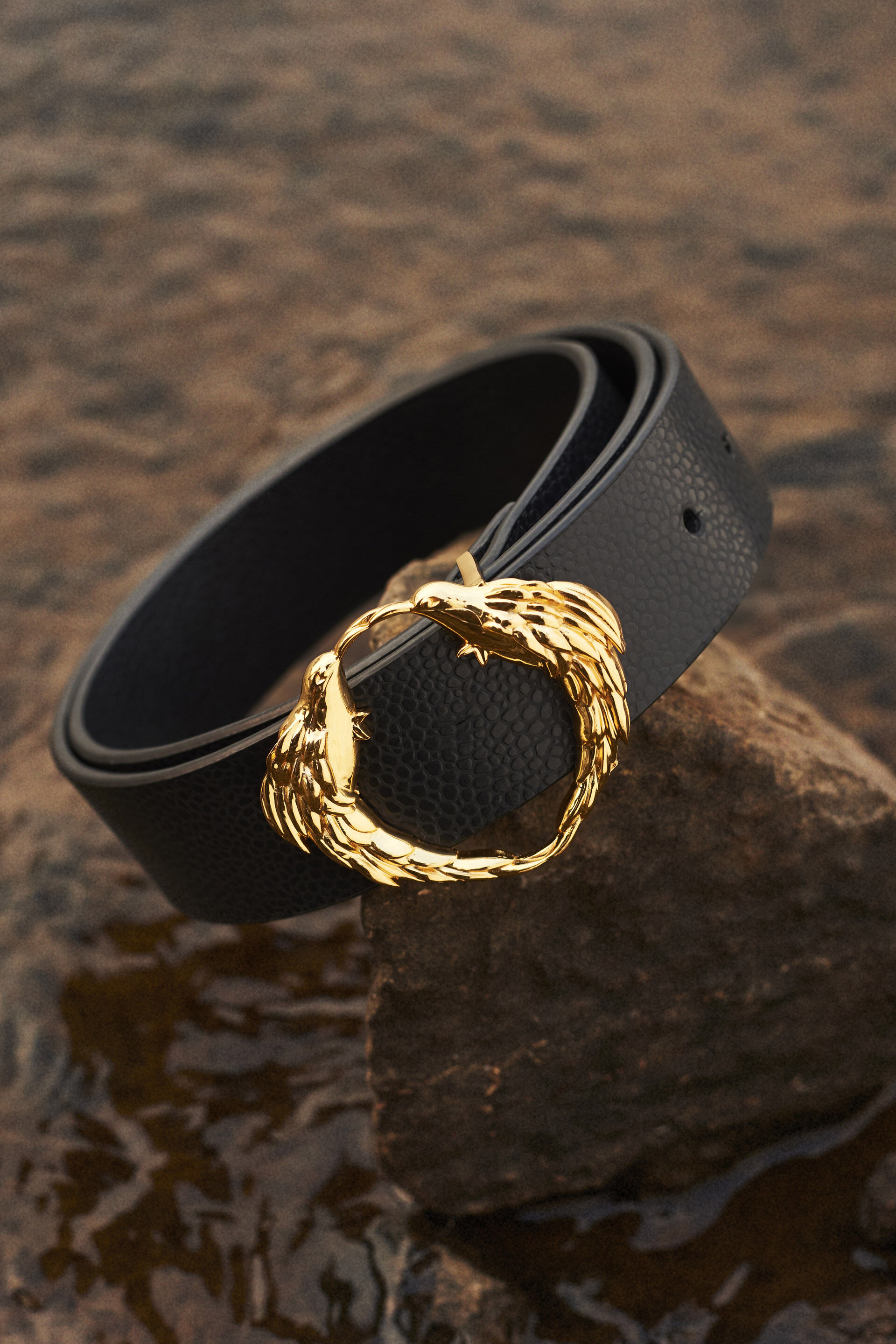 Birds of a Feather Belt - Nocturnal Black