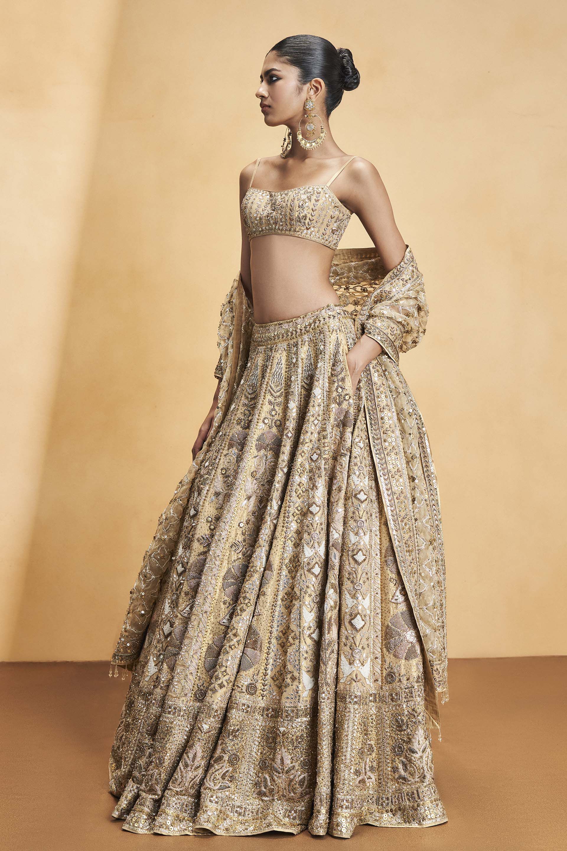 Hymn Of The Forest Gota Patti & Embroidered Cord Lehenga - Gold