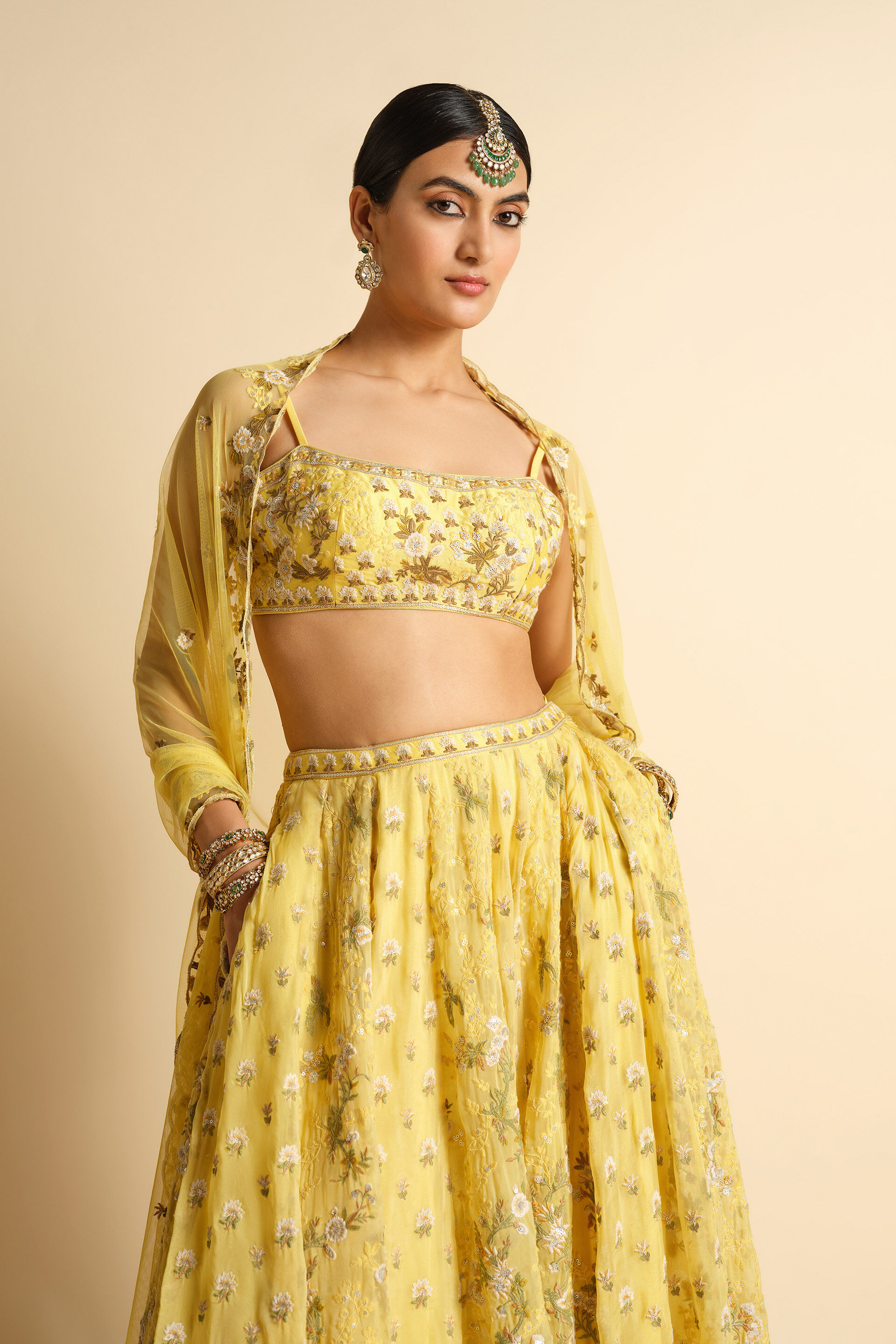 Syona Embroidered Lehenga Set - Yellow, Yellow, image 4