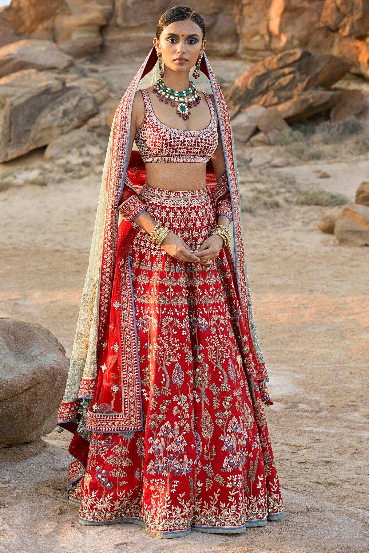 1 - Rasa Lehenga, image 1